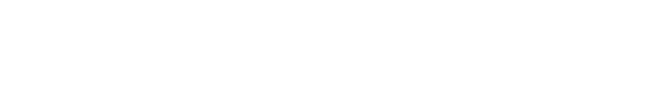 star citizen logo horizontal